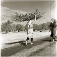 hebrewinisrael@gmail.com [Audio clip: view full post to listen] Download this episode (right click and save) * Both the intro & outro tracks are by Jono’s little sister, Kate Plummer, from...