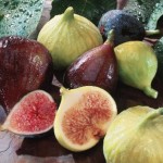 Kultured Karaite – Figs in the Tanakh